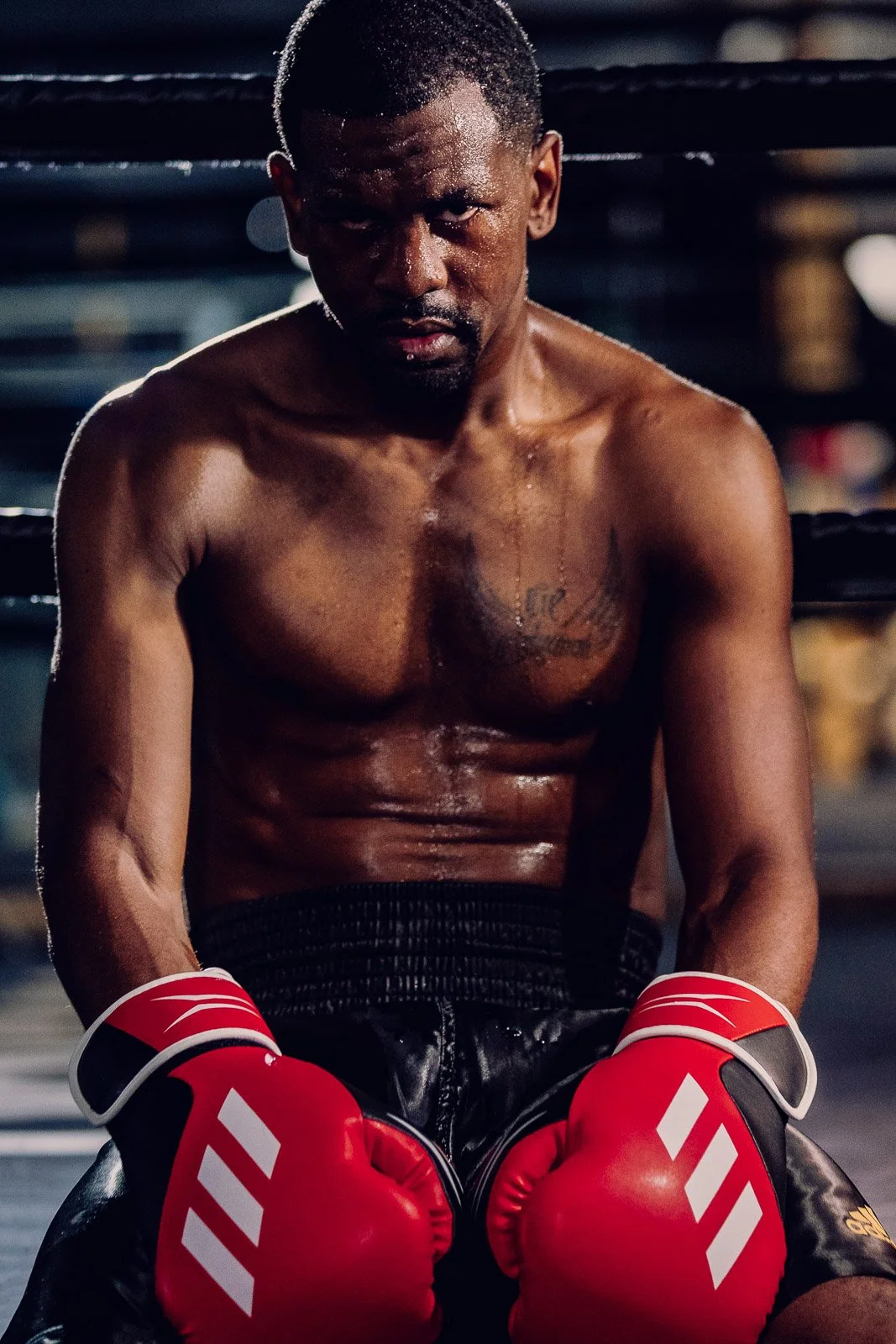 Adidas Boxing — Victor Isaac Alvarez